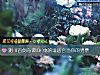 《测《古剑奇谭2》中的谁<i>适合</i>当你的男票》测试