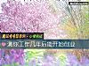 《测你工作几年后能开始<i>创业</i>》测试