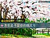《本年是不是你的<i>桃花</i>年》测试