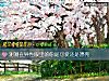 《测测在异性<i>眼里</i>的你是可爱还是漂亮》测试
