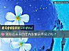 《测你在未来四年内能够获得成功吗？》测试