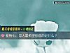 《<i>爱情</i>中，恋人最希望你做的是什么？》测试