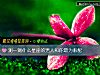 《测一测什么<i>星座</i>的男人和你最为般配》测试