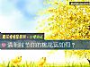 《清明时节你的<i>桃花运</i>如何？》测试