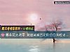 《哪朵花先凋零 测<i>面试</i>被否定你会自我检讨吗？》测试