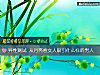 《异性测试 从月亮看女人吸引什么样的<i>男人</i>》测试