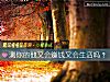 《测你的他又会赚钱又会<i>生活</i>吗？》测试