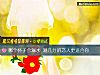 《哪个杯子会漏水 测几分的恋人更<i>适合</i>你》测试