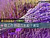 《你工作的动力来源于哪里》测试