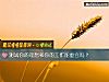 《测试你的理想和你的工作能重合吗？》测试
