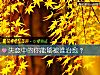 《<i>失恋</i>中的你能够被谁治愈？》测试