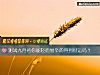 《测试九月初你能轻而易举的得到<i>财运</i>吗？》测试