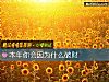 《本年你会因为什么<i>破财</i>》测试