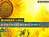《你想不想知道你朋友圈的<i>品质</i>如何？》测试