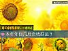 《本年年你几月会转<i>好运</i>？》测试