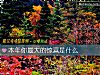 《本年你最大的<i>惊喜</i>是什么》测试