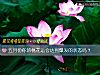 《五月份你的桃花运会达到爆发的<i>状态</i>吗？》测试