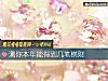 《测你本年能得到几笔横财》测试