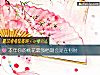 《本年你的<i>桃花</i>最强档期会是在何时》测试
