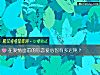 《在爱情面前的你<i>恋爱</i>心智有多迟钝？》测试