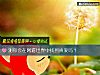 《测你会在网游世界中找到<i>真爱</i>吗？》测试