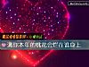 《测你本年的桃花会烂在谁<i>身上</i>》测试