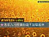 《本年九月份测你能不能够<i>脱单</i>》测试