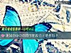 《测试你身边的<i>同学</i>朋友会出明星吗？》测试