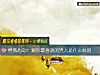 《怦然心动！测你最<i>喜欢</i>的男人是什么样的》测试
