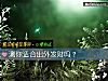《测你<i>适合</i>出外发财吗？》测试