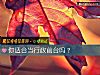 《你<i>适合</i>当行政前台吗？》测试