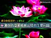 《测你的<i>恋爱</i>频频出错的主要问题》测试