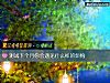 《测试下个月你会遇见什么样的<i>烦恼</i>》测试
