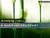 《测试<i>想要</i>发财你需要谁的庇护呢？》测试