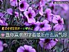 《选你<i>喜欢</i>的字看最近什么运气好》测试
