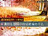 《测你在感情中容<i>易被</i>骗走什么》测试