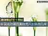 《从花的颜色测你<i>男人</i>出轨的几率》测试