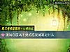 《测试你屡试不爽的<i>恋爱</i>秘籍是什么》测试
