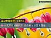《一无所有的情况下 你怎样才能激发潜能》测试