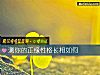 《测你的正缘<i>性格</i>长相如何》测试