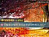《支配欲望强烈 你会是老虎型性格的人吗？》测试
