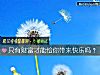 《只有财富才能给你带来<i>快乐</i>吗？》测试