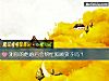 《测你的他婚后会帮忙照顾孩子吗？》测试