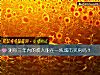 《测你三年内的收入能在一线城市<i>买房</i>吗？》测试