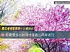 《你需要多长<i>时间</i>才能逃出战栗迷宫》测试