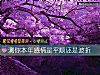 《测你本年<i>感情</i>是平顺还是波折》测试