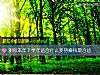 《测你本年下半年<i>适合</i>什么姿势赚钱最合适》测试