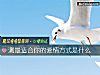 《测最<i>适合</i>你的爱情方式是什么》测试