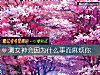 《测女神会因为什么事而<i>麻烦</i>你》测试