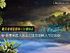《你要和恋人怎么过本年的<i>情人</i>节比较好》测试